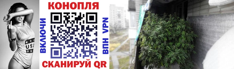 Шишки марихуана OG Kush  даркнет телеграм  Оха  mega маркетплейс 